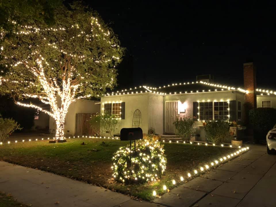Hang Ten Holiday Lights Image